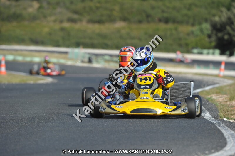 DSC (4008).JPG